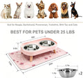 Elevated Dog Bowl, Raised Feeding Stand with Mat for Small Dogs Under 25 Lb