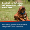 Animapet Ointment for Dogs | Yeast Infection Treatment for Dogs | Dog Ear & Skin Infection Care | Ear Mite, Itching, Irr
