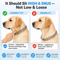 AKDNZ No Pull Dog Collar - 3mm (18"-24" Inches) Heavy Duty Stainless Steel Dog Training Collar, Adjustable Fit with Quick Release Buckle for Small, Medium & Large Dogs, 2 Extra Links