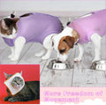 Nuanchu 3 Pcs Cat Recovery Suit