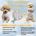 Dog’s Recovery Suit Post Surgery Shirt for Puppy, Wound Protective Clothes for Little Animals(Pink White Stripe-xs)