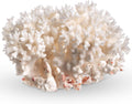 White Sea Coral | 4-5" Lace Coral Pocillopora Damicornis | Plus Free Nautical eBook by Joseph Rains