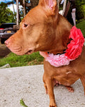 4PCS Dog Collar Flower Pink Attachment Bow Slider Charm for Large Dog