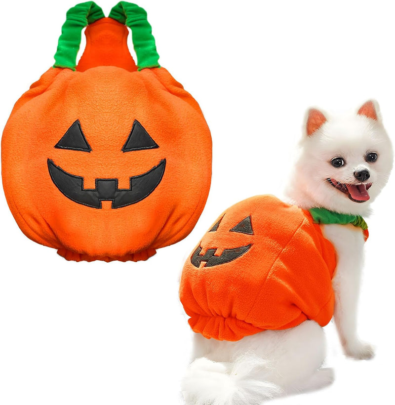 PETCARE Funny Pumpkin Dog Halloween Costume Pet Dog Cat Thick Plush Pumpkin Decoration Shirt Clothes for Small Medium Do