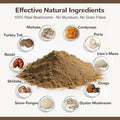 Turkey Tail Mushroom Powder for Dogs, Organic 10 Mushroom Blend for Lipoma Lumps and Bumps, Dog & Cat Herbal Supplements Probiotic with 50% β-Glucan, Joint Gut Immune Skin Support - 60g