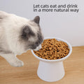 KITCHENLESTAR 6.2 Inch Extra Wide Elevated Ceramic Cat Bowls, Food and Water Bowl Set for Elder Big Cats Small Dogs, Raised Design for Pet Easy Eating, Protect Cat's Spine Set of 2(White)