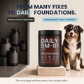 DM‑01 Daily Multivitamin for Dogs,12‑in‑1 Soft Chews,Beef Flavor,60 Count