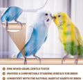 Sintuff Bird Perches Natural Wood Double Slots, 24 Inches, 4 Pcs