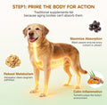 Turkey Tail Mushroom for Dogs,Senior Dog Supplement for Lumps, Bumps & Lipoma,Soft Chews with Reishi, Maitake, Turmeric & Astragalus,Supports Immune Health,Natural Chicken Flavor, 120 Count