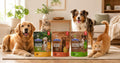 Nutri Bites Freeze Dried Salmon Dog & Cat Treats, Single Ingredient, Single