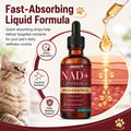 Jakkies NAD+ Liquid Drops for Cats, Boosts Immunity & Vitality
