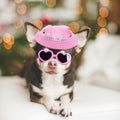 choyaxo Dog Sun Hat Set Including Dog Visor Sunbonnet Outfit with Ear Holes Dogsg Sunglasses Baseball Cap for Puppy Outdoor UV Protection