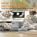 Cat Scratch Puzzle Enrichment Box with Bell Ball, Large Cat Nail File Enrichment Box with Sandpaper Liner, Stress-Free A