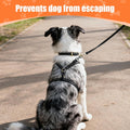 Dog Collar Safety Clip, Reflective Double-Ended Backup Connector for Harness to Collar, Adjustable Safety Clip for Prong