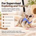 3 Pack Sugar Glider Harness and Leash Set Small Animal Training Walking Vest for Squirrel Hamster Rat Blue
