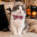 2 Pack Halloween Cat Collars with Bow Ties, Hot Pink Skull & Pumpkin Ghost Breakaway Kitten Collars with Bells and Charm