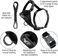 Kurgo Tru-Fit Smart Harness, Black, Large