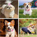 12 Pcs Pink Dog Collar Flowers Cat Collar Flower Attachment Detachable Embellishment with Elastic Rubber Band Soft Chiffon Dog Bow Tie Charms Flower for Female Dogs Wedding Birthday Parties