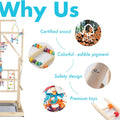 Parrot Playground Large 4 Layers - Small Bird Playground Parakeet Play Stand Bird Gym Parrots playpen Play Playstand Par