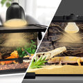 LUCKY HERP Heat Lamp Bulbs - 150W Reptile Heat Lamp 2 Pack, Daylight Basking Heat Lamp Bulbs for Reptile, UVA Heat Light