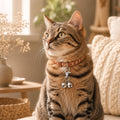 Grevosea 2 Pcs Mini Dog Collar Bells, Silver Cat Bell Pet Pendant Charm