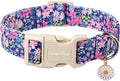 Lionet Paws Floral Dog Collar- Cute Spring Wildflowers Daisy Fleabane Dog Collars with Plastic Buckle,Light Adjustable D