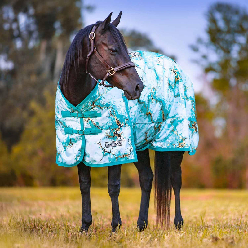 Jeffers 1200D Standard Neck Horse Turnout Sheet, 0G, 84