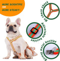 Detachable Suspenders for Dog Diapers, Skirt and Dresses, Pet Diaper Keeper for Small Medium Large Dog