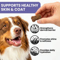 Skin & Coat Supplement for Dogs - Omega 3 6 9 Fish Oil & Vitamin E Soft Chews - Dog Itch Relief, Anti-Shedding & Shiny C