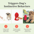 Small Dog Fire Hydrant 4x7 Silicone Soft Potty Training Aid for Small Breeds Under 10lbs Toy Breeds Indoor Outdoor Train