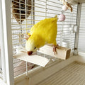 Bird Chew Toys Large Untreated Balsa Wood 6 Pack with Mount Clip, Multi Size Thick Wood Slice, Bird Cage Accessories for