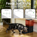 Automatic Cat Feeder with Camera: 6L Automatic Dog Feeder with 2-Way Audio Night Vision Dual Power Supply App Control 2.4G WiFi, Timed Auto Cat Food Dispenser with Stainless Steel Bowl (White)