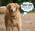 Short Dog Leash - 9 Inch Dogs Lead Grab Tab Heavy Duty Waterproof PVC Dog Training Traffic Leashes for Safety Control Be
