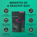 VetriScience Gut Health Chews, Probiotic Everyday Digestive Supplement for Dogs, Pet Probiotics for Digestion Support, Gas and Diarrhea, Immune Support, 1 Billion CFU Per Chew, Duck, 120 Count