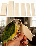 Bird Chew Toys Large Untreated Balsa Wood 6 Pack with Mount Clip, Multi Size Thick Wood Slice, Bird Cage Accessories for