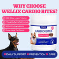 Wellix 260g Cardio Taurine for Dogs - Heart Supplements for Dog Chews with CoQ10,Fish Oil,L-Carnitine - Senior Heart Health and Cardiovascular & Antioxidant Support