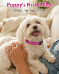Joytale Dog Collars for Small Dogs, Feather-Light Double-Sided Reflective Nylon Collar for Night Safety, Adjustable Quick-Release for Growing Puppies, Hotpink, S (5/8" Width)