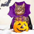 Qiansail Cat Cape Vampire Cloak Halloween Dog Costume Pet Cosplay Apparel Outfit Decor Accessories for Puppy Kitten, Bla