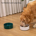 Kitwinney Large Dog Bowls, Non Slip Heavy Ceramic Dog Food and Water Bowl with Silicone Base, 8" Pet Feeding Bowl for Small, Medium, and Big Dogs (Green, 8 Inches)