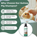Guinea Pig Shampoo 8 oz - Naturally Effective Shine Skin & Coat Formula - NO Fragrance, Hypoallergenic, Relieves Dry, It
