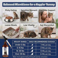 Cat Probiotics for Digestive Support - Liquid Probiotics for Cats with Digestive Enzymes & Natural Extracts Supports Sensitive Stomach - Easy-to-Use Drops 2oz (60ml)