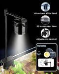 Fish Tank, 3 Gallon Ultra-Clear Glass Fish Aquarium, with Separator Plate for Betta, Fish Tank Starter kit with Filter a