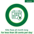 Advantage Topical Cat Flea Treatment and Prevention for Small Cats 2-9 lbs. | Apply Flea Drops Monthly | 2 Treatments