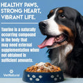 VetNatural Taurine for Dogs, 99.99% Pure Taurine Powder – Immune Support, Boost Energy, Skin & Coat Health for Heart, Vi