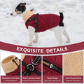 Queenmore Dog Jackets for Medium Dogs, Dog Coat with Harness Built in