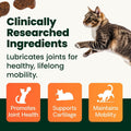 VetriScience Healthy Hip & Joint Chews, GlycoFlex Glucosamine and Green-Lipped Mussel Joint Support Supplement for Cats, Promote Mobility and Protect Joints, Chicken, 60 Count