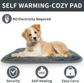 AUPETEK Self-Warming Cat Bed Indoor/Outdoor Super Soft Self Heating Pet Mat Washable Thermal Pad for Cat & Dog 21x15.7 inch