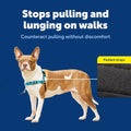 PetSafe Easy Walk Deluxe Dog Harness, No Pull Dog Harness – Perfect for Leash & Harness Training – Stops Pets from Pulling and Choking on Walks – Medium, Ocean