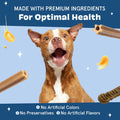 BARKBOX Bright Dental Care Kit - for Dogs - for Large Breeds (50+ lbs)