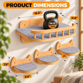 Cat Wall Shelves, Modern Cat Wall Furniture for Indoor Cats